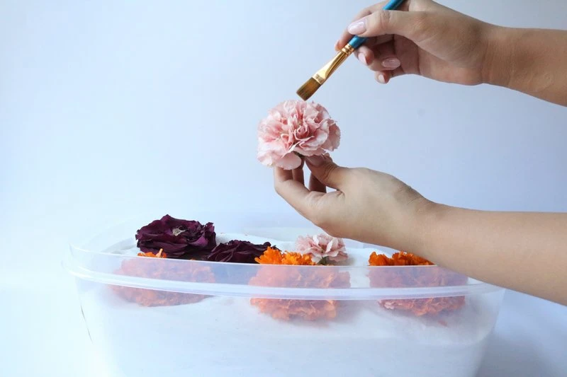 Magnificent Flower Crowns - Flower Drying Art